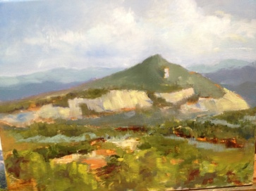 Daisies and New Life